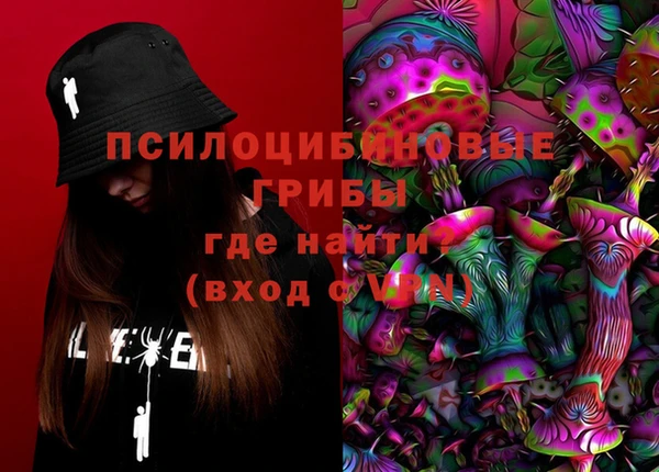 гашик Аркадак