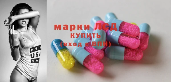 гашик Аркадак