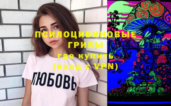 гашик Аркадак